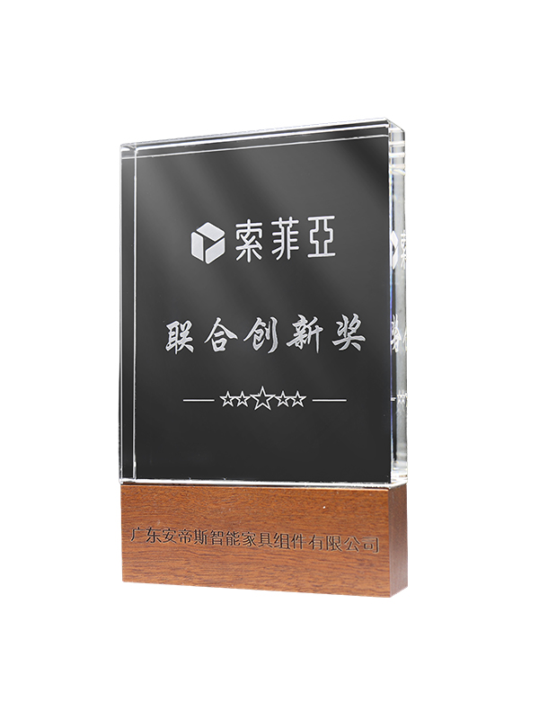 索菲亚创新联合奖