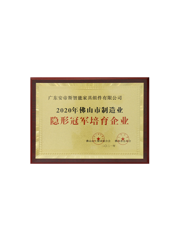 隐形冠军